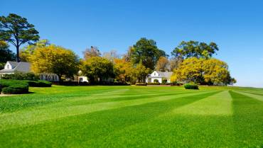 Affordable Lawn Care Services
